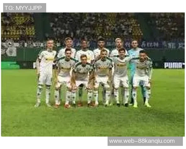 哈特堡格与维兹的精彩对决分析与赛前预测 哈特堡格与维兹的精彩对决分析与赛前预测